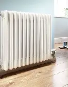 维尼修斯沈阳启动再成焦点的简单介绍