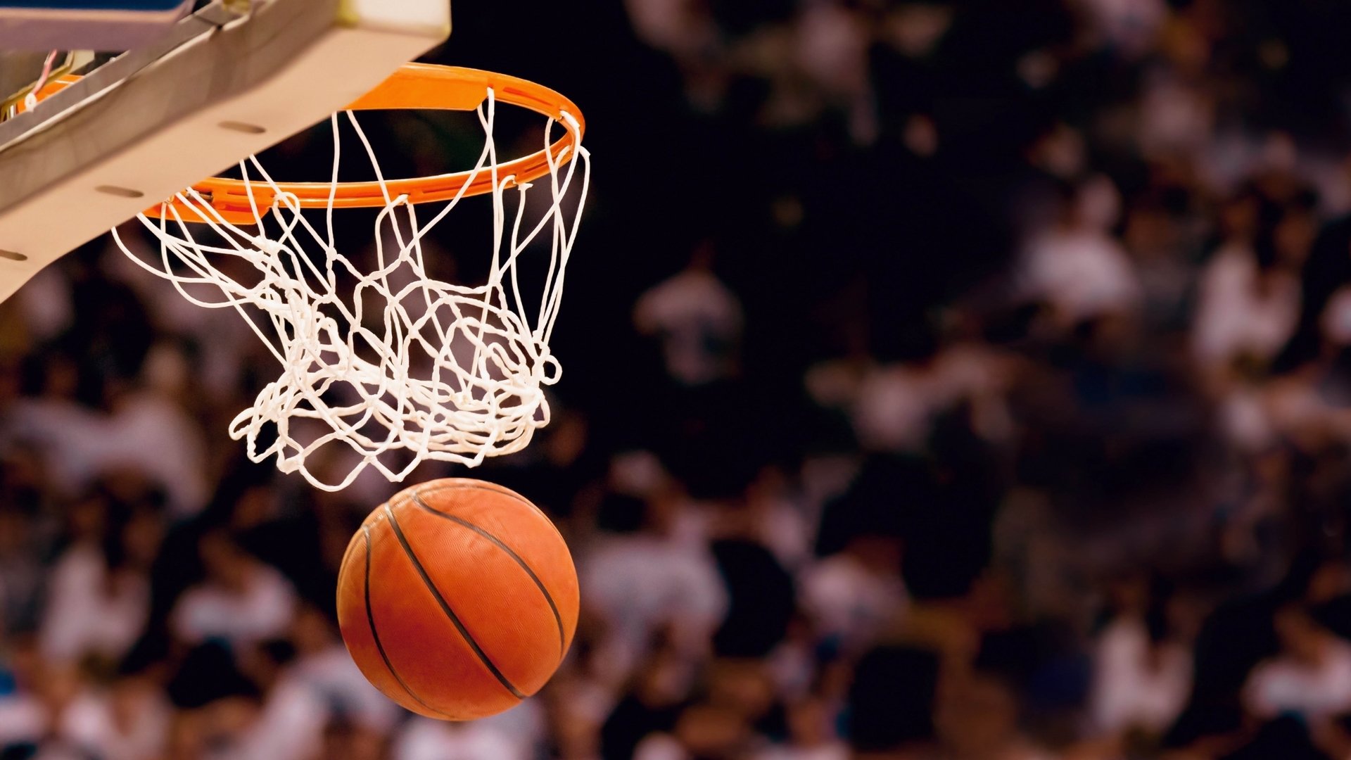 孙颖莎化身NBA大球迷，跨界魅力引爆全网热议